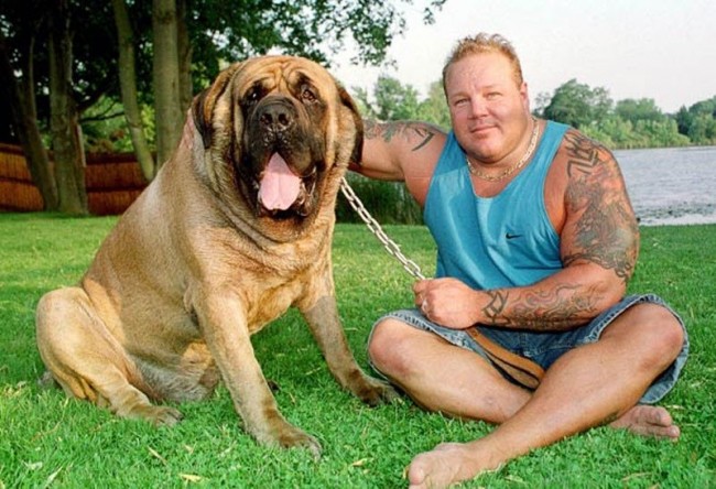 Самые крупные породы собак. Самая крупная собака в России