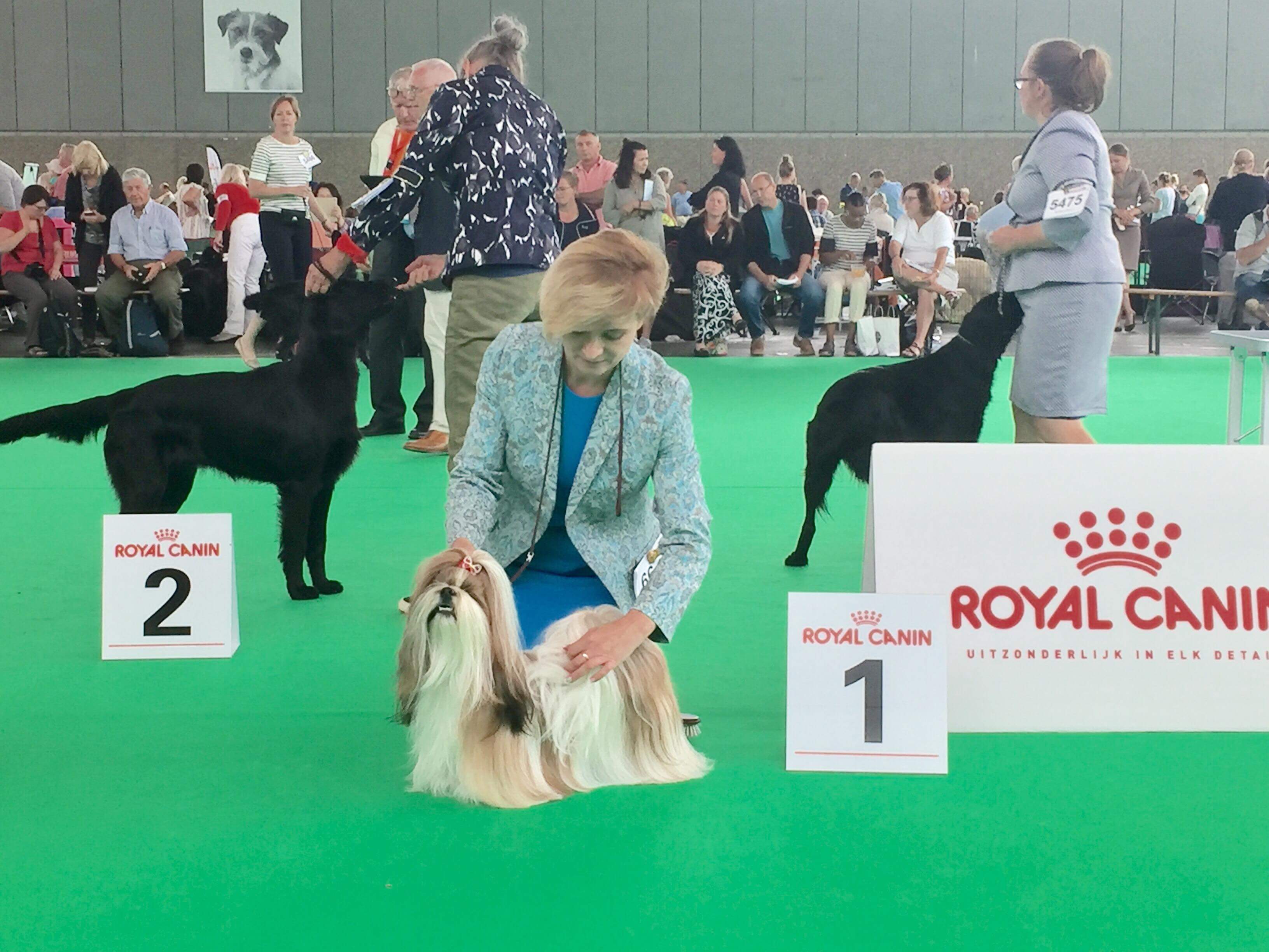 Результаты Benelux Winner 2018 (Нидерланды). Часть 2 My Doggy