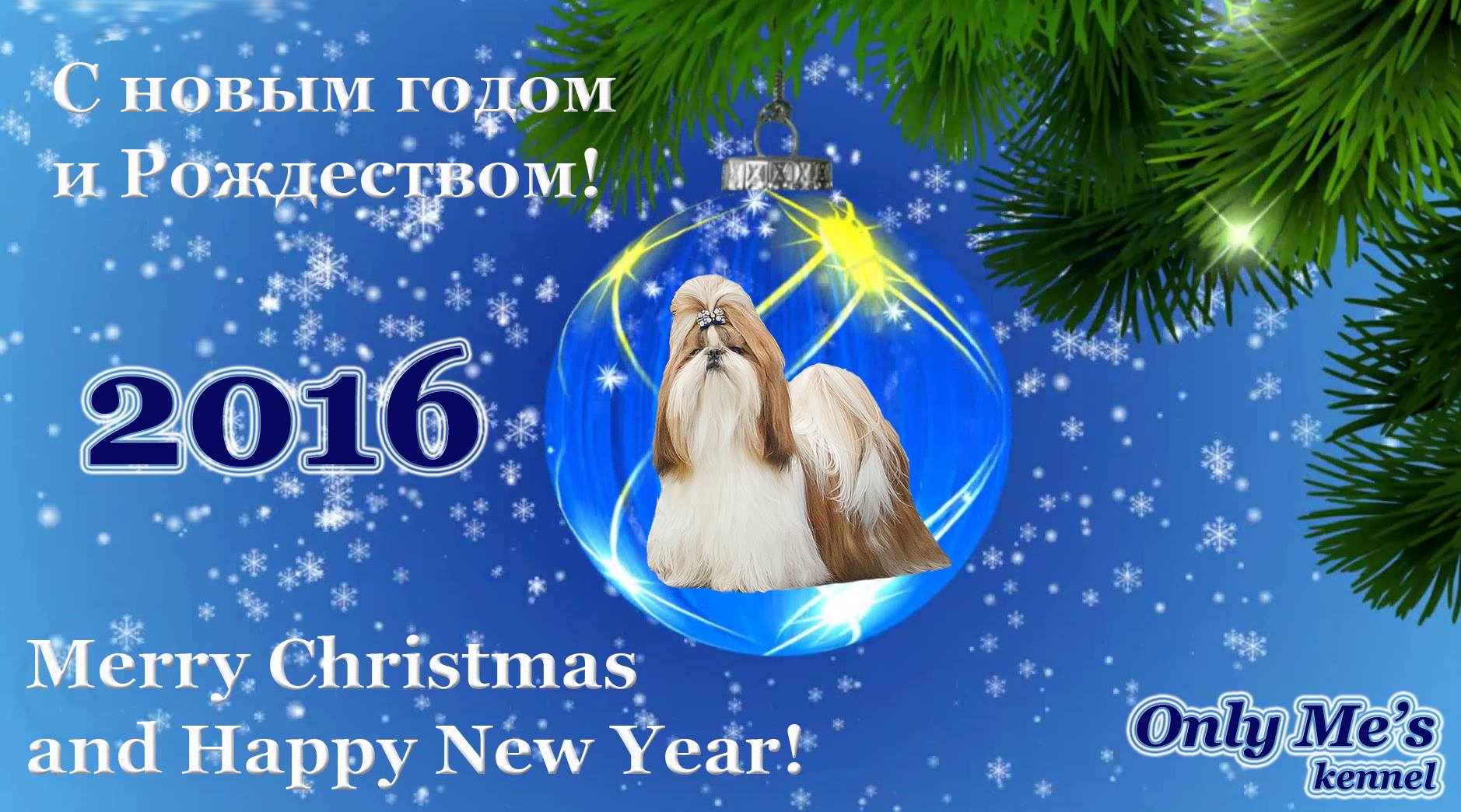 С новым 2016 годом и Рождеством! Сайт MyDoggy.ru