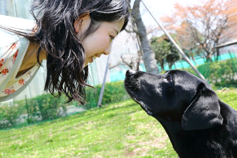 Окситоцин и его роль в отношениях между собакой и человеком