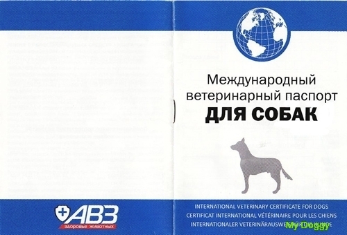 Здоровье собаки. Ветеринарный паспорт