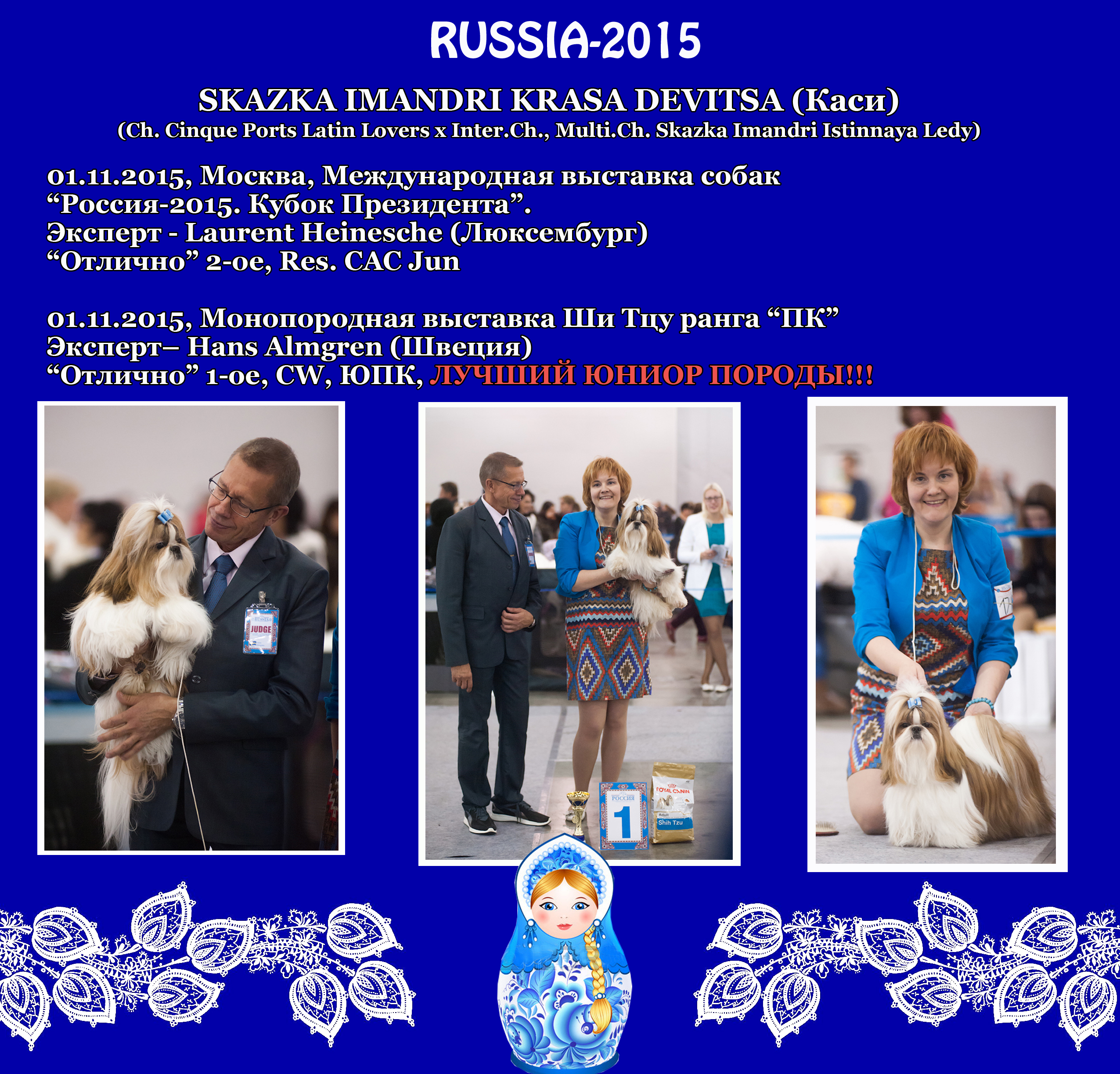 Результаты Каси (Skazka Imandri Krasa Devitsa) на международной выставке "Россия-2015", проходившей 01 ноября 2015 г. в Москве