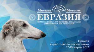 Международная выставка собак "Евразия-2017". Второй день.