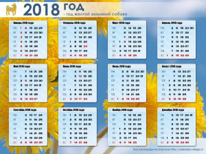 Календарь международных и национальных выставок собак в 2018 году
